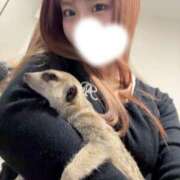 ヒメ日記 2026/01/16 06:35 投稿 れおな JAPAN CLUB BUNNY LOUNGE