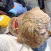 ヒメ日記 2026/02/07 06:04 投稿 れおな JAPAN CLUB BUNNY LOUNGE