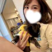 ヒメ日記 2026/09/29 12:25 投稿 れおな JAPAN CLUB BUNNY LOUNGE