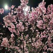 ヒメ日記 2026/04/20 22:04 投稿 篠塚結菜 札幌ソフィア