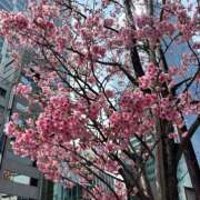 篠塚結菜 イメージカラー🩷 札幌ソフィア