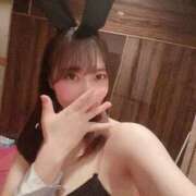 ヒメ日記 2025/08/18 13:00 投稿 める JAPAN CLUB BUNNY LOUNGE