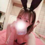 ヒメ日記 2025/11/03 10:02 投稿 める JAPAN CLUB BUNNY LOUNGE