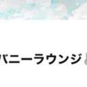 ヒメ日記 2025/11/13 12:04 投稿 める JAPAN CLUB BUNNY LOUNGE