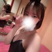 ヒメ日記 2025/11/20 16:01 投稿 める JAPAN CLUB BUNNY LOUNGE