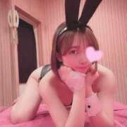 ヒメ日記 2025/11/27 12:04 投稿 める JAPAN CLUB BUNNY LOUNGE