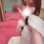 ヒメ日記 2025/12/15 11:01 投稿 める JAPAN CLUB BUNNY LOUNGE