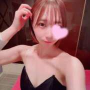 ヒメ日記 2026/02/14 00:30 投稿 める JAPAN CLUB BUNNY LOUNGE