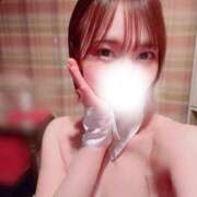 ヒメ日記 2026/02/17 12:04 投稿 める JAPAN CLUB BUNNY LOUNGE