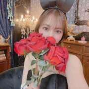 ヒメ日記 2026/03/25 20:02 投稿 める JAPAN CLUB BUNNY LOUNGE
