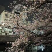 ヒメ日記 2026/04/10 17:02 投稿 める JAPAN CLUB BUNNY LOUNGE