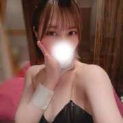 ヒメ日記 2026/04/16 06:30 投稿 める JAPAN CLUB BUNNY LOUNGE