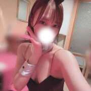 ヒメ日記 2026/05/22 12:06 投稿 める JAPAN CLUB BUNNY LOUNGE