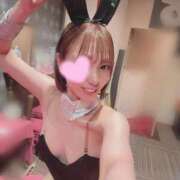 ヒメ日記 2026/05/24 12:02 投稿 める JAPAN CLUB BUNNY LOUNGE