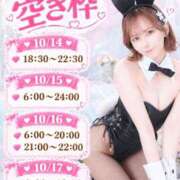 ヒメ日記 2026/10/14 14:02 投稿 める JAPAN CLUB BUNNY LOUNGE