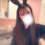 ヒメ日記 2025/04/06 17:58 投稿 りんか JAPAN CLUB BUNNY LOUNGE