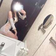 ヒメ日記 2025/04/27 11:29 投稿 りんか JAPAN CLUB BUNNY LOUNGE