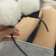 ヒメ日記 2025/05/17 20:57 投稿 りんか JAPAN CLUB BUNNY LOUNGE