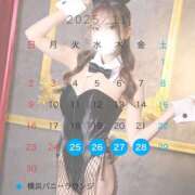 ヒメ日記 2025/11/04 13:45 投稿 りんか JAPAN CLUB BUNNY LOUNGE