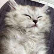 ヒメ日記 2025/08/17 20:27 投稿 あいさ JAPAN CLUB BUNNY LOUNGE