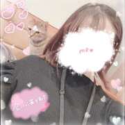 ヒメ日記 2025/04/06 12:54 投稿 野田 あかね Canx2神戸店