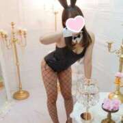 ヒメ日記 2025/04/17 19:23 投稿 かなの JAPAN CLUB BUNNY LOUNGE