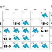 ヒメ日記 2025/08/01 23:27 投稿 かなの JAPAN CLUB BUNNY LOUNGE