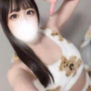 ヒメ日記 2025/09/03 07:39 投稿 かなの JAPAN CLUB BUNNY LOUNGE