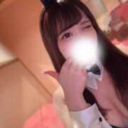 ヒメ日記 2025/09/09 19:10 投稿 かなの JAPAN CLUB BUNNY LOUNGE