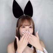 ヒメ日記 2025/11/30 15:30 投稿 かなの JAPAN CLUB BUNNY LOUNGE