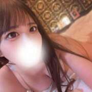 ヒメ日記 2026/01/29 18:30 投稿 かなの JAPAN CLUB BUNNY LOUNGE