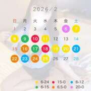 ヒメ日記 2026/02/01 10:23 投稿 かなの JAPAN CLUB BUNNY LOUNGE