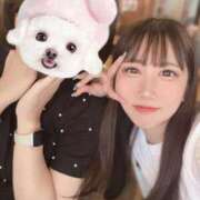 ヒメ日記 2026/03/30 22:26 投稿 かなの JAPAN CLUB BUNNY LOUNGE