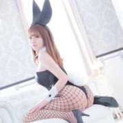 ヒメ日記 2026/03/31 09:15 投稿 かなの JAPAN CLUB BUNNY LOUNGE