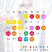 ヒメ日記 2026/04/01 23:35 投稿 かなの JAPAN CLUB BUNNY LOUNGE