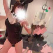 ヒメ日記 2026/04/24 19:44 投稿 かなの JAPAN CLUB BUNNY LOUNGE