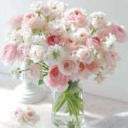 ヒメ日記 2025/04/08 13:36 投稿 かれん ～優しい若妻倶楽部～Mrs.女神