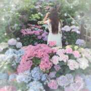 ヒメ日記 2025/06/20 12:27 投稿 難おとは スピード日本橋店