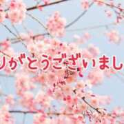 ヒメ日記 2025/04/09 19:57 投稿 鈴谷美晴 熟女パラダイス鶯谷店(カサブランカグループ)