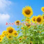 ヒメ日記 2025/08/10 12:15 投稿 鈴谷美晴 熟女パラダイス鶯谷店(カサブランカグループ)