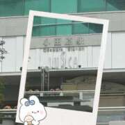 ヒメ日記 2025/04/22 10:23 投稿 のあ セクシーキャット 小田原店