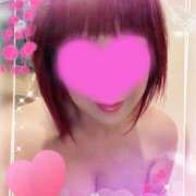 ヒメ日記 2025/05/01 12:28 投稿 のあ セクシーキャット 小田原店