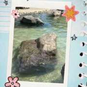 ヒメ日記 2025/07/06 15:11 投稿 のあ セクシーキャット 小田原店