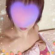 ヒメ日記 2025/08/25 12:02 投稿 のあ セクシーキャット 小田原店