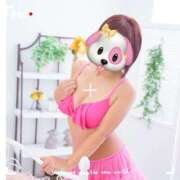 ヒメ日記 2025/10/27 15:02 投稿 のあ セクシーキャット 小田原店