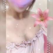 ヒメ日記 2025/11/14 14:01 投稿 のあ セクシーキャット 小田原店