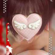 ヒメ日記 2025/12/14 10:30 投稿 のあ セクシーキャット 小田原店