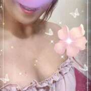 ヒメ日記 2025/12/15 14:01 投稿 のあ セクシーキャット 小田原店