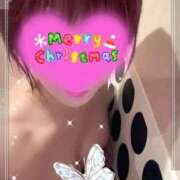 ヒメ日記 2025/12/25 13:00 投稿 のあ セクシーキャット 小田原店