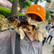 ヒメ日記 2025/05/23 06:35 投稿 ゆんな ハピネス＆ドリーム 松山道後温泉